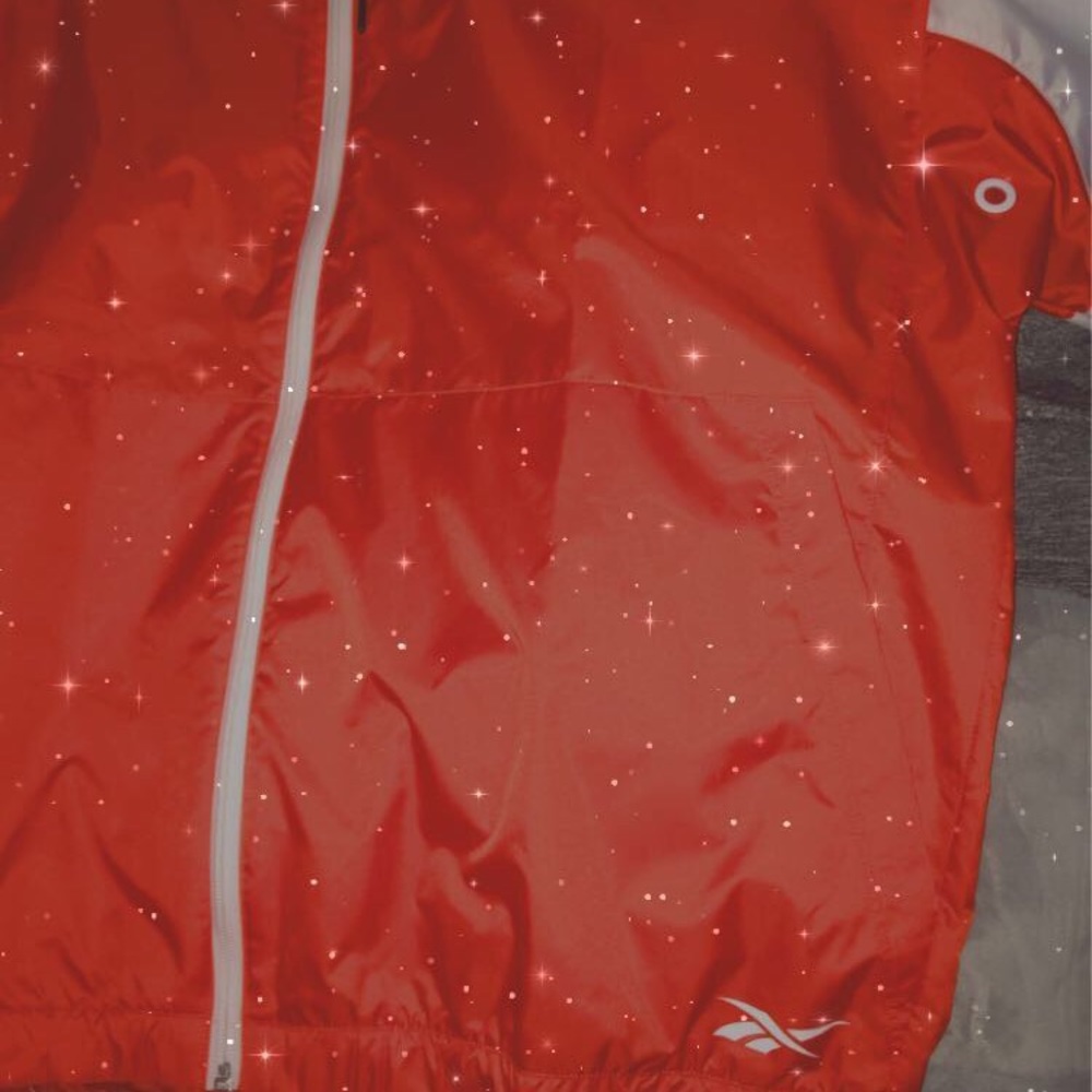 Reebok windbreaker with a hood